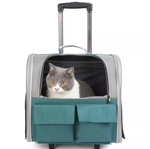 Carriers & Strollers