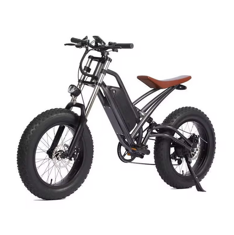 Electric Bike