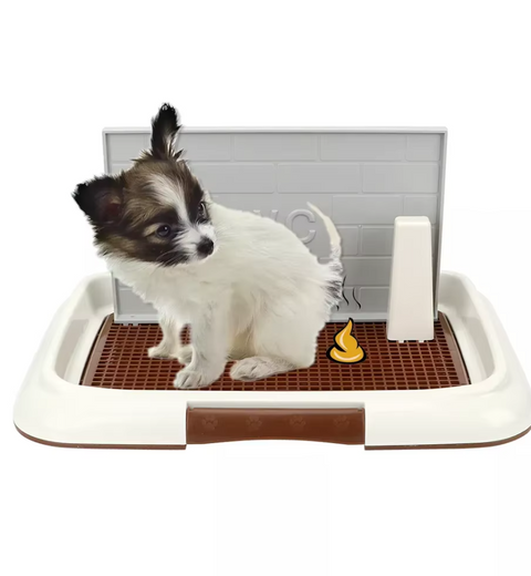 Litter & Housebreaking