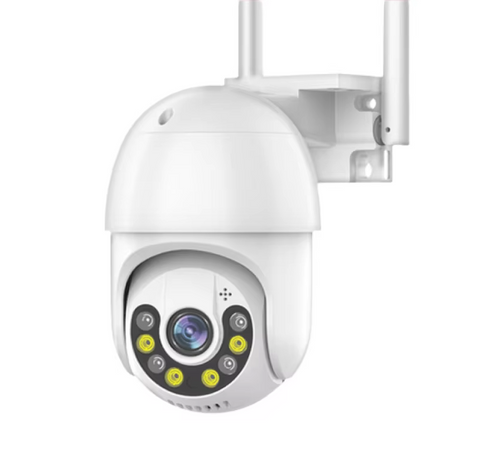 Video Surveillance