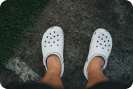 Adult crocs