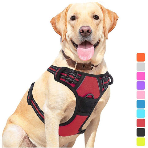 Pet Dog Hand Holding Rope Chest Strap
