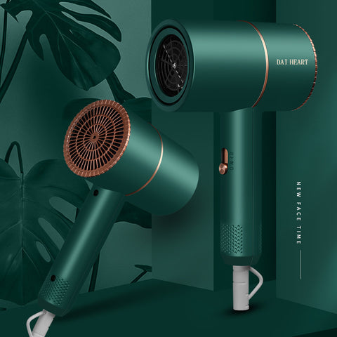 Hammer Hair Dryer Negative Ion Household