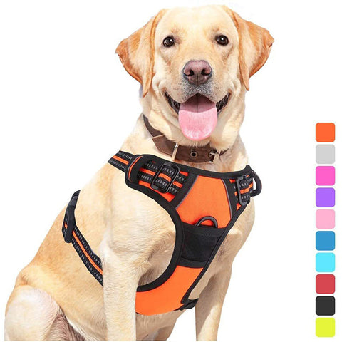 Pet Dog Hand Holding Rope Chest Strap