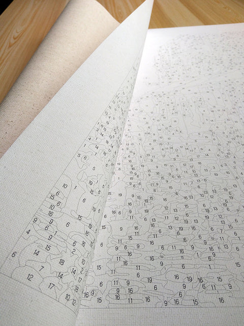 Digital oil painting DIY oil painting gifts gifts