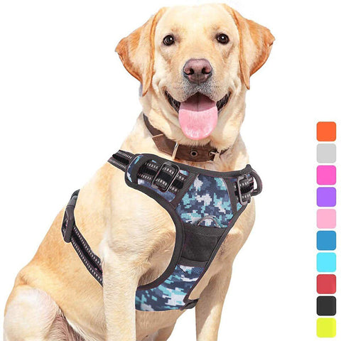 Pet Dog Hand Holding Rope Chest Strap