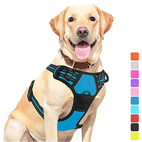 Pet Dog Hand Holding Rope Chest Strap