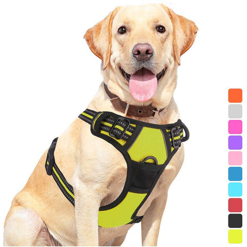 Pet Dog Hand Holding Rope Chest Strap