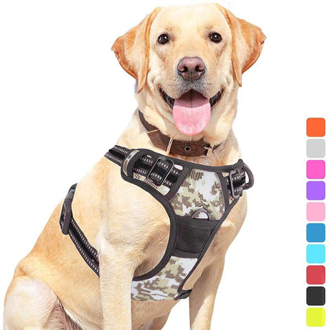 Pet Dog Hand Holding Rope Chest Strap