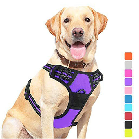 Pet Dog Hand Holding Rope Chest Strap