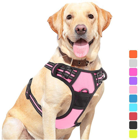 Pet Dog Hand Holding Rope Chest Strap