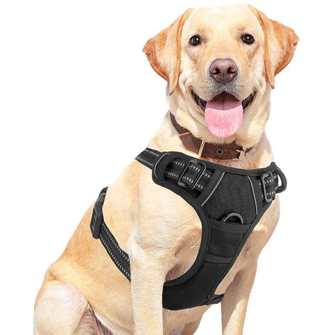 Pet Dog Hand Holding Rope Chest Strap
