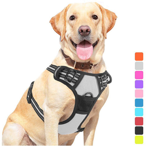 Pet Dog Hand Holding Rope Chest Strap