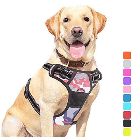 Pet Dog Hand Holding Rope Chest Strap